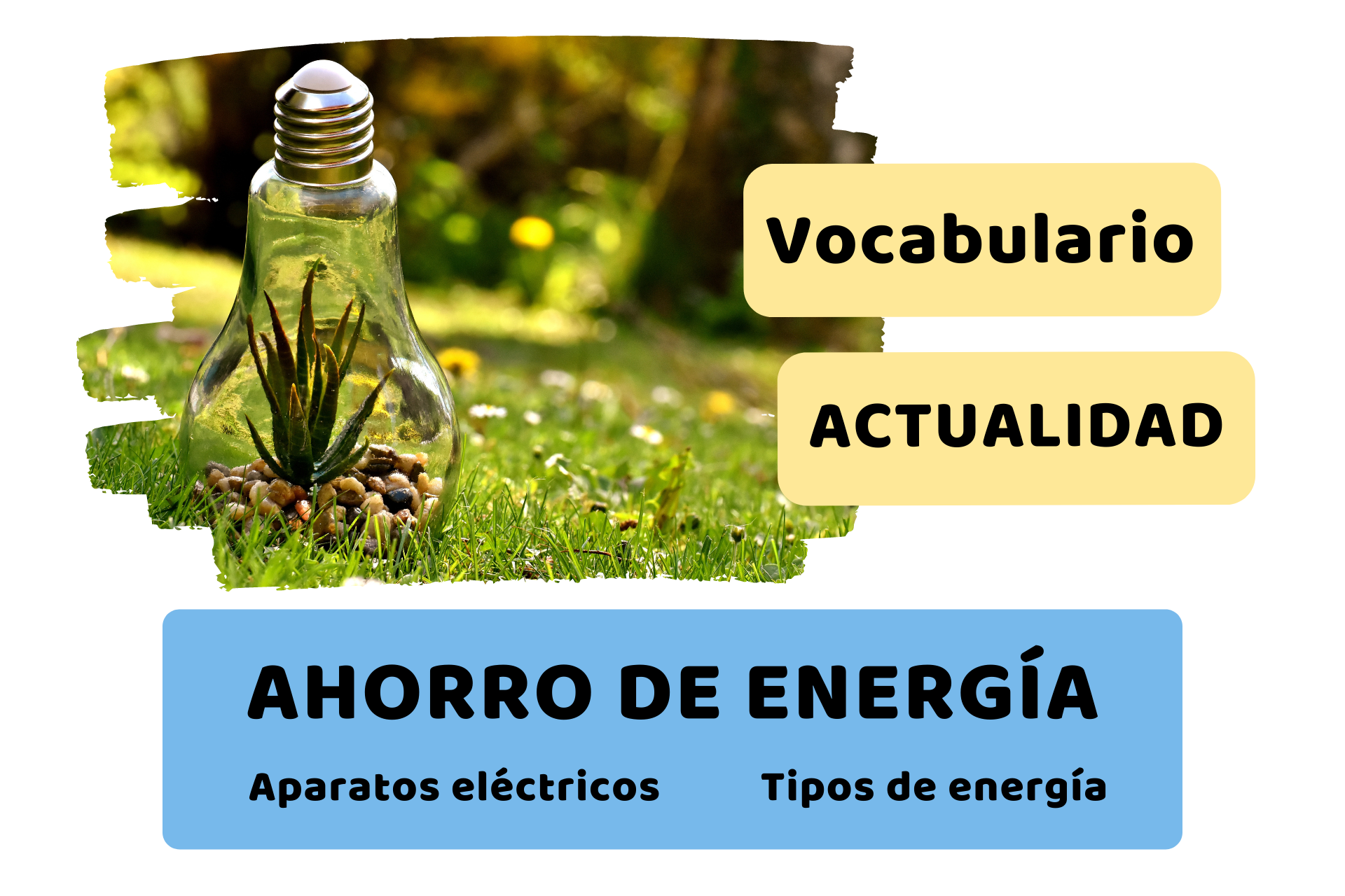 ¿Por qué está tan cara la luz? 10 consejos para ahorrar energía en casa ...